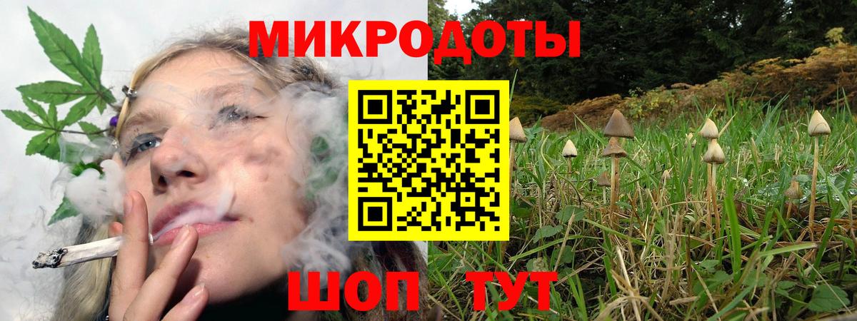 Псилоцибиновые грибы Psilocybe  Вход с VPN  где купить наркоту  Стрежевой 