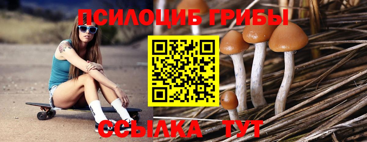 Псилоцибиновые грибы мухоморы Стрежевой